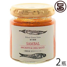 ISフーズ サンバルソース 80g×2瓶 愛媛県 土産 人気 調味料