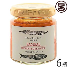 ISフーズ サンバルソース 80g×6瓶 愛媛県 土産 人気 調味料