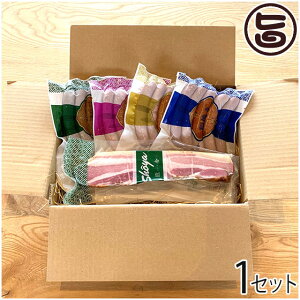 Mtg  MtgZbg _ kC lC yY y p p