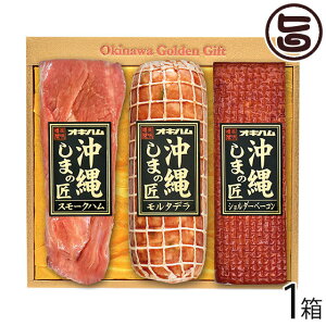 Mtg Ԍ ILn X[NnE^fEV_[x[R T-20  lC 蕨  