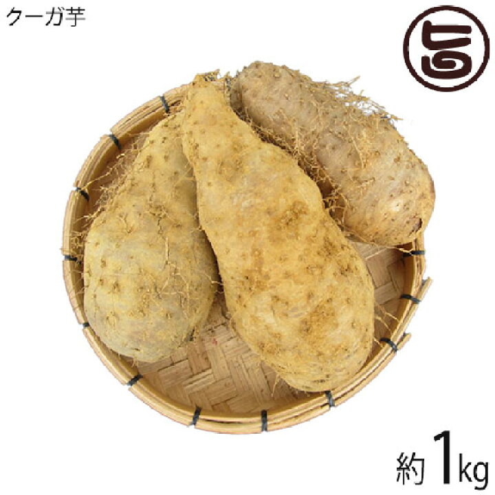 楽天市場 沖縄県産スーパーフード 琉球自然薯 畑のうなぎ クーガ芋 1kg 1袋 琉球エコプロジェクト 沖縄 人気 土産 沖縄県産野菜 送料無料 旨いもんハンター