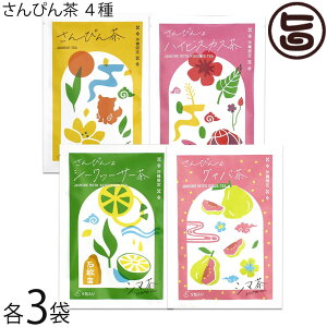 牀 V} ҂ nCrXJX V[N[T[ O@o 10g(2g×5) 4×3܃Zbg