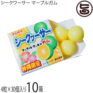 丸川製菓 BIGサイズ シークヮーサー マーブルガム 4粒入×30個×10箱