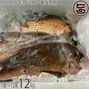 Ngt[Y mhюs 󂠂 {B^ 12kg 7`12ڈ