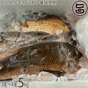 Ngt[Y mhюs 󂠂 {B^ 5kg 3`4ڈ