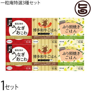 Mtg |n^[ꉟ ꗱI3Zbg Mtg 蕨 v[g    ꌧ