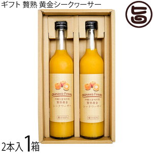Mtg PX XY ҏnV[N[T[ ʏ`100 500ml×2{×1