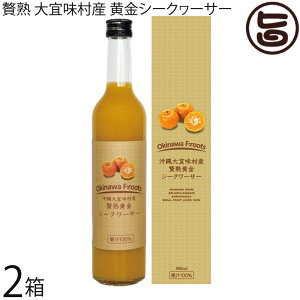 PX XY ҏnV[N[T[ ʏ`100 500ml×2