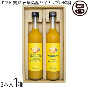 Mtg PX Ί_Y ҏn pCibv ʏ`100 500ml×2{×1