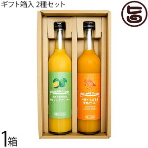 Mtg PX ΂Y ҏn^J ʏ`100%  XY ؃V[N[T[ ʏ`100 500ml×2{Zbg 