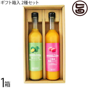 PX Mtg XY ؃V[N[T[ ʏ`100 500ml  ꌧY ҏn}S[ʏ`50% 500ml×2{Zbg