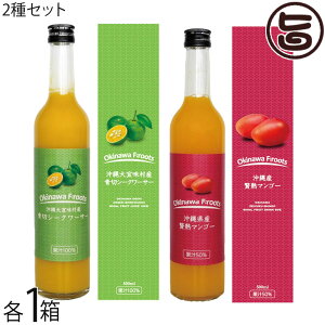 PX XY ؃V[N[T[ ʏ`100 500ml / ꌧY ҏn}S[ʏ`50% 500ml×e1