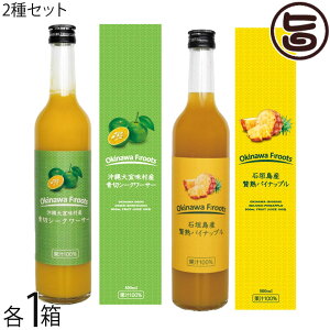 PX XY ؃V[N[T[ ʏ`100 500ml / Ί_Y ҏn pCibv ʏ`100 500ml e1