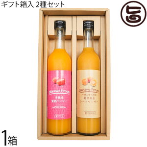 Mtg PX ҏn ꌧY }S[ʏ` XY ҏnV[N[T[ ʏ`100 e500ml 2{Zbg 