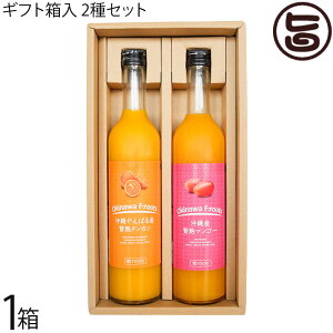 Mtg PX ꌧY ҏn}S[ʏ`50%  ΂Y ҏn^J ʏ`100% 500ml 2{Zbg 