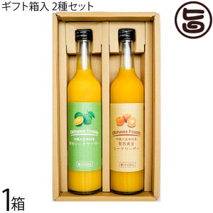 Mtg PX XY ؃V[N[T[ ʏ`100  ҏnV[N[T[ ʏ`100 500ml×2{Zbg 