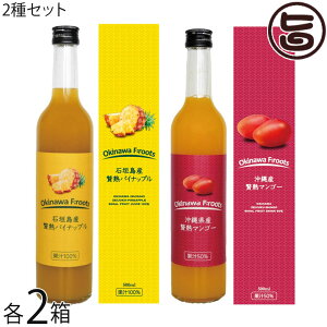 PX Ί_Y ҏnpCibv ʏ`100 500ml / ꌧY ҏn}S[ʏ`50% 500ml×e2 