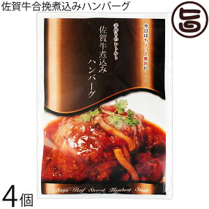 CG[Lb` ꋍҎύ݃no[O 190g×4 Ⴊ jW ߂t킹t