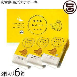 HyZu {Ó oiiP[L 3×6 