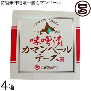 aJ Y ĖXЏ\J}x[ 100g×4