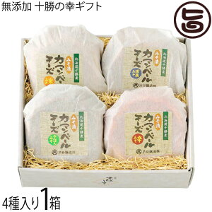 aJ Y \̍KMtg XЃJ}x[100g 4×1