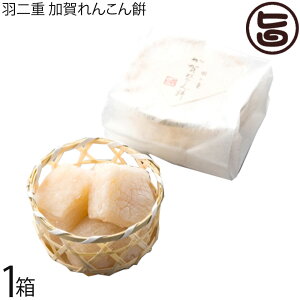 zRX zRÐ Hd 񂱂 6 ΐ쌧 yY aَq َq