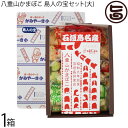 八重山かまぼこ専門店 かみやーき小 石垣島名産 八重山かまぼこ 島人の宝セット(大)×1箱 沖縄