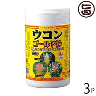 うっちん沖縄 ウコン複合体 ウコンゴールド粉 容器入 150g×3P 沖縄 人気 定番 土産 うこん 鬱金 うっち…