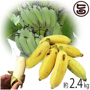 ���ꌧ�Y ��o�i�i ��2.4kg Banana Party �Â݂������قǂ悢�_�� ���R�{���̖��̖��_�򍑎Y�o�i�i
