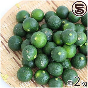 Ԍ Y V[N[T[2kg  lC 썑t[c  yY