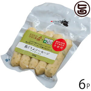 Ђ낵Hi ǂӃ\[Z[W A[T 100g×6P  yY ꌧY ꌧY{ނ˓ ꌧYAITgp \[Z[W