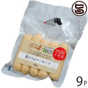 Ђ낵Hi ǂӃ\[Z[W v[ 100g×9P  yY ꌧY ꌧY{ނ˓gp \[Z[W