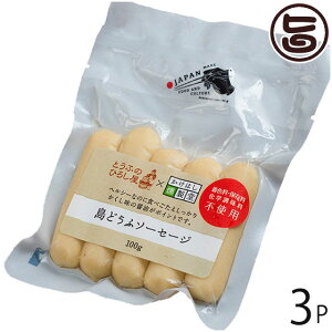 Ђ낵Hi ǂӃ\[Z[W v[ 100g×3P  yY ꌧY ꌧY{ނ˓gp \[Z[W