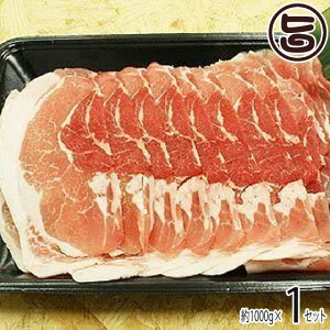 tbV~[gȂ R()  [X Ԃԗp 1000g  yY lC ؓ ANȂ