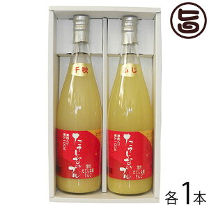 Mtg Ăȃbv ʓьW[X ӂ&H 720ml e1{ 쌧 yY ʎ t[cW[X p[eB[ 蕨