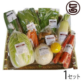 京都ハバネロの里 野菜の宅急便 旬の京野菜詰合せ レギュラー 京都府 土産 野菜