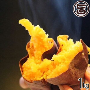 Đ_Vq RR܂邢 nEBXC[g 1kg 錧 yY ⓀĂ ₫