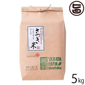 山田ふぁーむ さつき米あきたこまち 白米 5kg 青森県 土産 お米 減化学肥料 減農薬