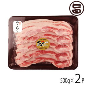 JAおきなわ あぐー 豚バラ 焼肉500g×2P 沖縄 土産 豚肉 県産ブランド豚あぐー ご自宅用に