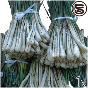 Y傤 1kg  lC 썑  yY