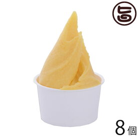 沖縄やんばるジェラート 沖縄マンゴー 90ml×8個セット 沖縄 土産 ジェラート 氷菓 お取り寄せ アイス