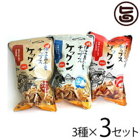 ケックンmini スパイシー 塩 黒糖&シナモン 60g×3種×3セット沖縄伊江島小麦チップス クセになる旨さ！ おやつ 黒糖