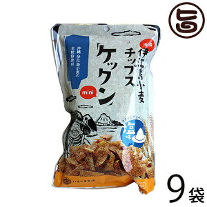 �P�b�N��mini �� 60g×9�� ����ɍ]�������`�b�v�X �N�Z�ɂȂ�|���I �����