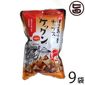 ケックンmini スパイシー 60g×9袋 沖縄伊江島小麦チップス クセになるウマ辛さ！