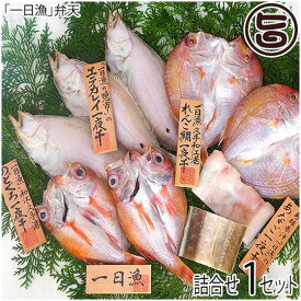 岡富商店 一日漁 島根沖一夜干「弁天」セット のどぐろ れんこ鯛 エテかれい 穴子 島根県 人気 魚介類 一夜干し