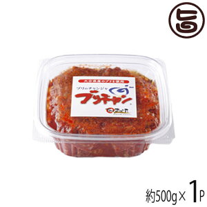 R Yũ`W u` 500g ȑe 啪 yY y   ܂