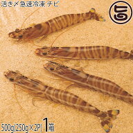 活き〆急速冷凍 久米島の車えび 500g チビ(約90尾)×1箱 車海老 沖縄