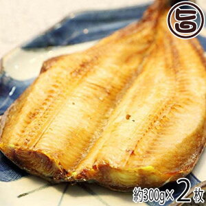 Ђ͂邩 Ȃق̈銱 300gO×2 kC yY lC  y ܂ 