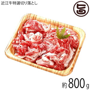 Mtg ߍ]I ؂藎Ƃ   Ef o~bNX 800g X  yY lC   ꌧYߍ]