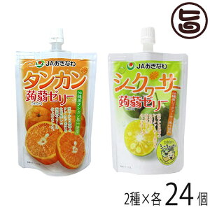 JAおきなわ シークヮーサー&タンカン 蒟蒻ゼリー 各24個セット 沖縄 人気 定番 土産 菓子 ゼリー 便利なパウチタイプ